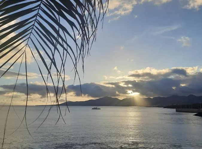 The White Dragos With Ocean View Tias